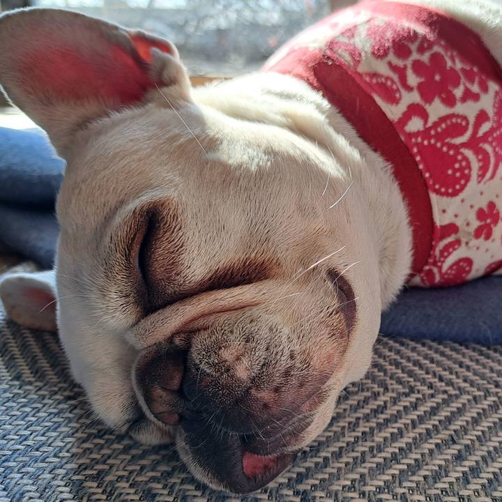 925167b4 bf3a 4085 9b6f 37cbf5eb81f6 1705285458551