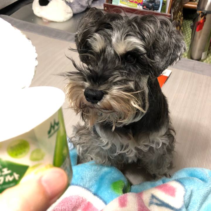 92516d6a 2833 4b1e a3dc 645d4c2282ba 1580909450814