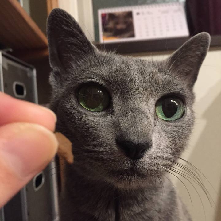 92517ee7 da6b 4116 b743 fbe4c81d6cc2 1517278636301