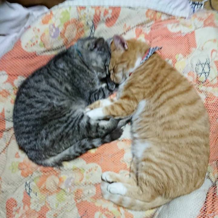 9251afc8 9540 44c4 8c97 632270155a30 1571663925355