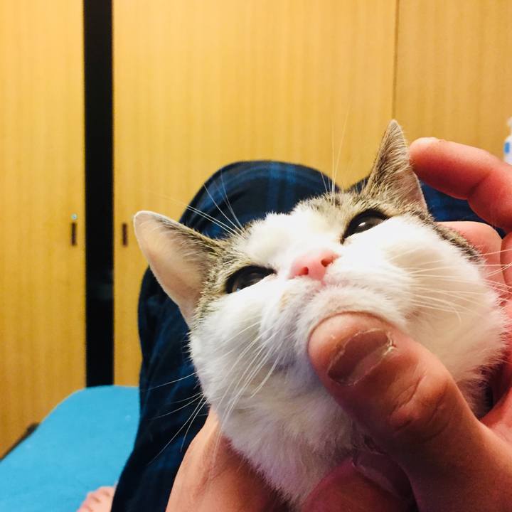 9251b5cb 88cd 4d81 acd4 dc69ce4df2e9 1550321582937