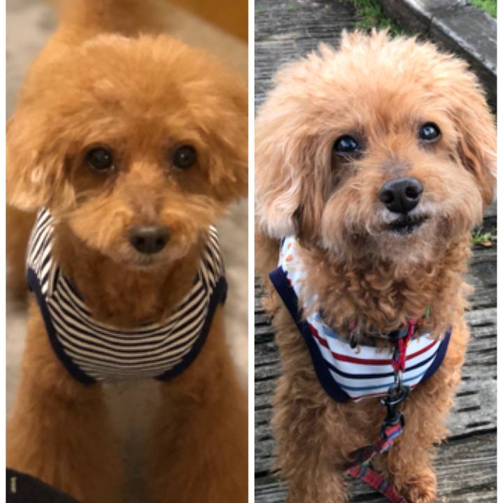 9251e127 c6c6 4f6d 8ba7 493894cd9663 1560468584180