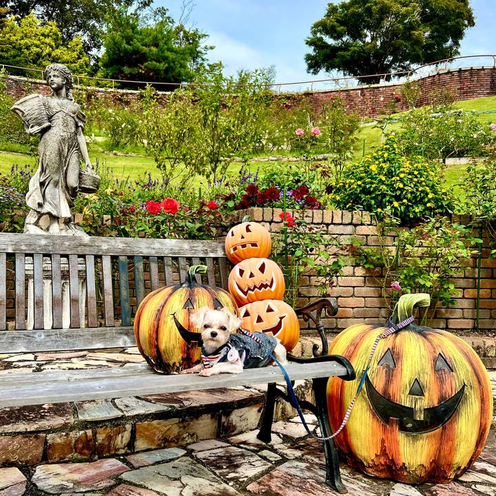 9251eed1 58b8 44ba 86ac e9d02f8ade7f 1666349215275