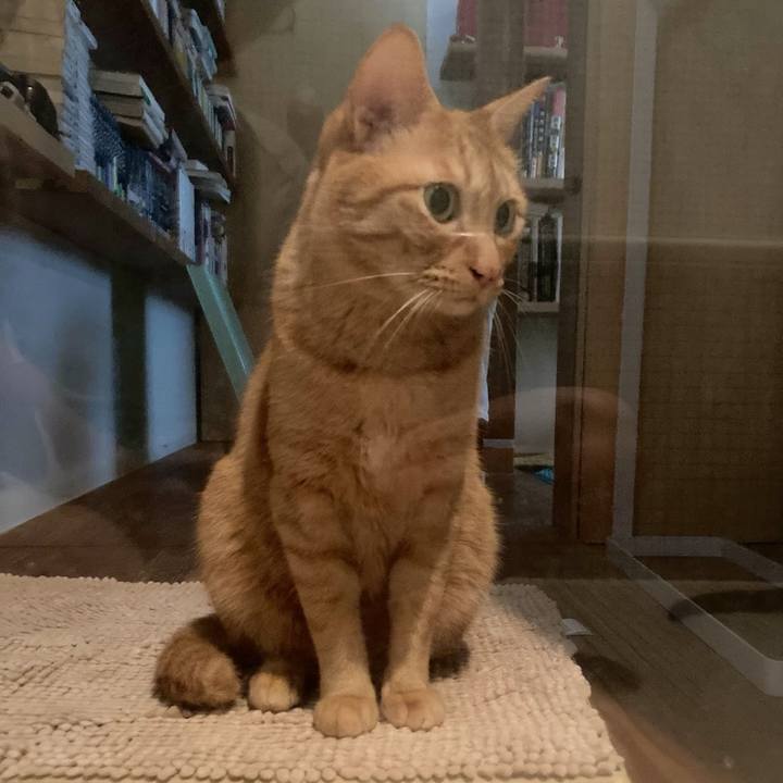 9252268f 3b16 43a3 b3ed 150402250561 1660435315814