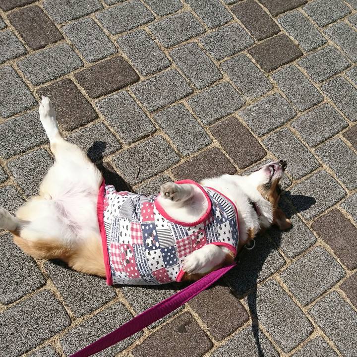 92523eb3 08b5 4b07 a5ea e537cc512f3d 1553147565686