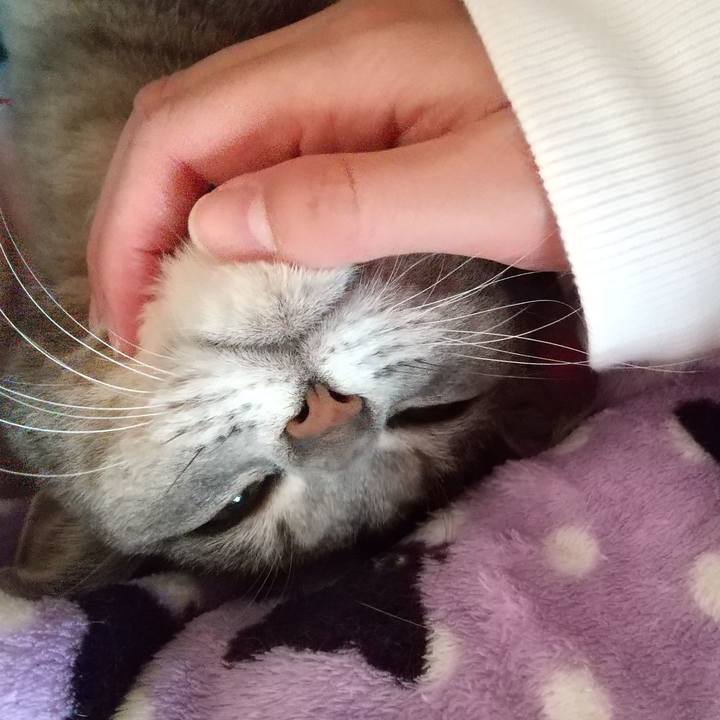 925245fb cfc9 413b a34d 5e01d391dad5 1636239805310