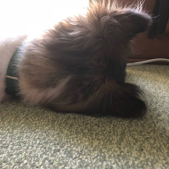 92524ccc 6a06 429d 8e9f 252c98a49bb3 1526782516595