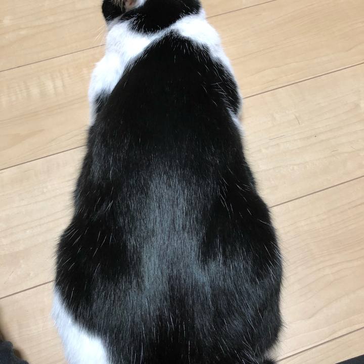 925277c1 f17f 4ce3 9ada 3c2c0fcb5ba9 1573315506823