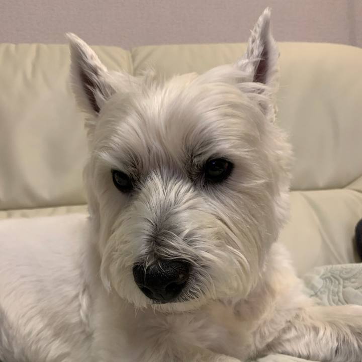 92528981 56f4 49f7 8217 68c2d74a0e22 1620687424538