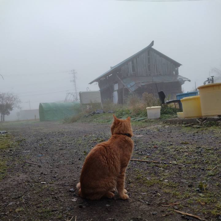 92528a5d 8178 473b 86b4 c87b0c199e18 1667427637526