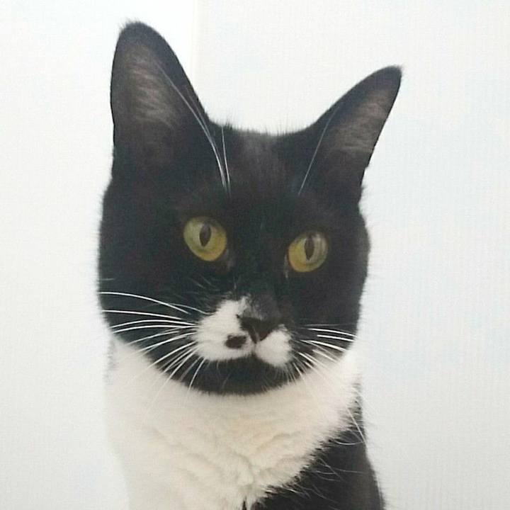 9252ce4e 8bc5 47fd ad6b 38c094ecec7b 1532091677519