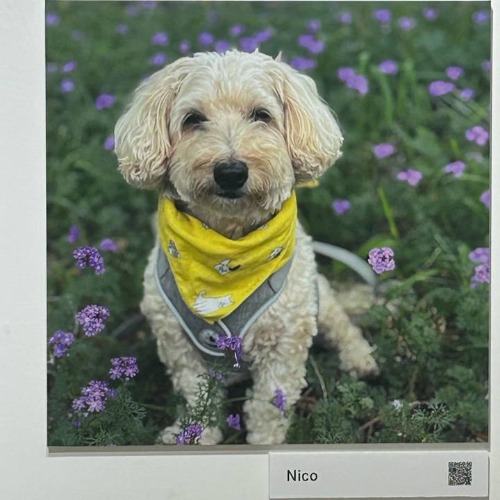 9252ea7c 9f0d 41b4 9326 8f13ca8e1b0b 1761193758620