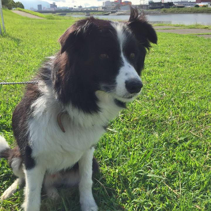 92532ef0 304d 4dd5 a3fe 6668c4547807 1537058375775