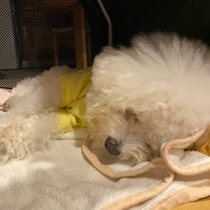 92534a8f 9a0c 4204 9185 24ddd68205b1 1731315311322