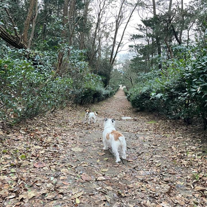 92537437 15c7 4659 9d11 67a345cbb52a 1639352527775