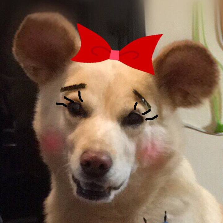 92537444 0dd4 46d5 b82f 4495032ad887 1520098374790