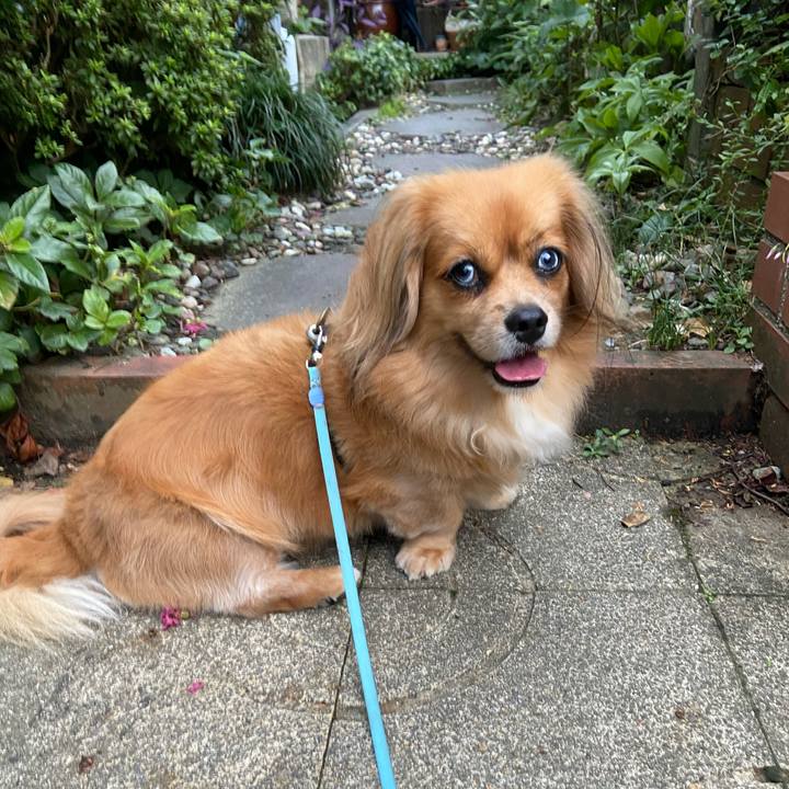 92538eec d0d3 456e 94d3 9f3a7f1b4855 1600378339187