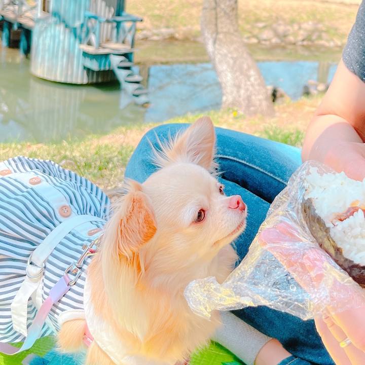 9253a0c3 e2be 41c2 974e f31aa64e4f44 1649577280695