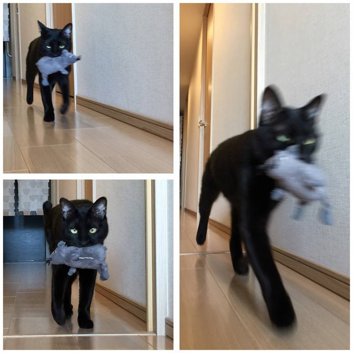 9253acb0 9582 4f92 ac45 f54043ad68f8 1512540768184