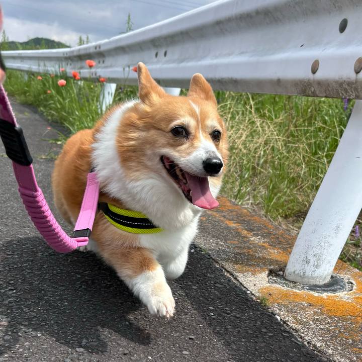 9253b01c 452e 4ab8 9083 7403c47a5982 1745635465557