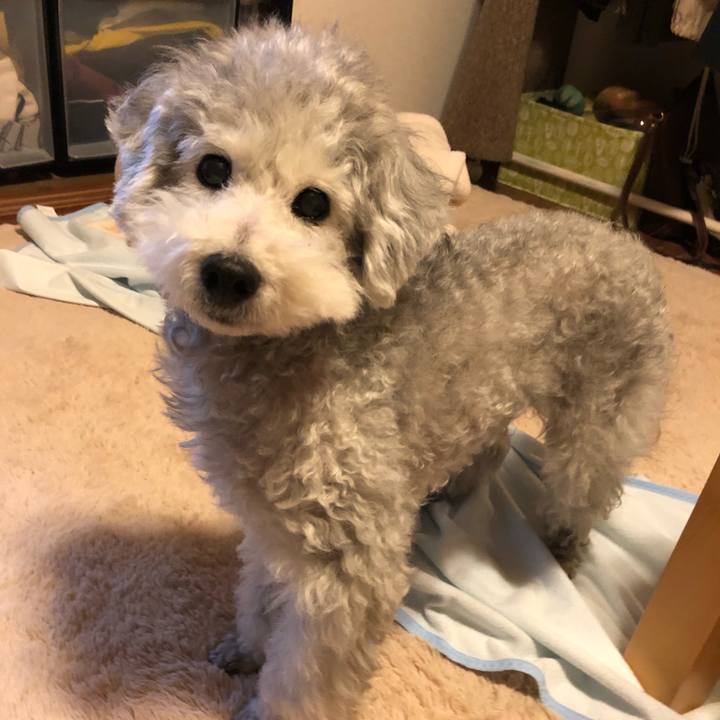 92542c1b 57e7 4979 955a f2893f7a30c0 1545969051540