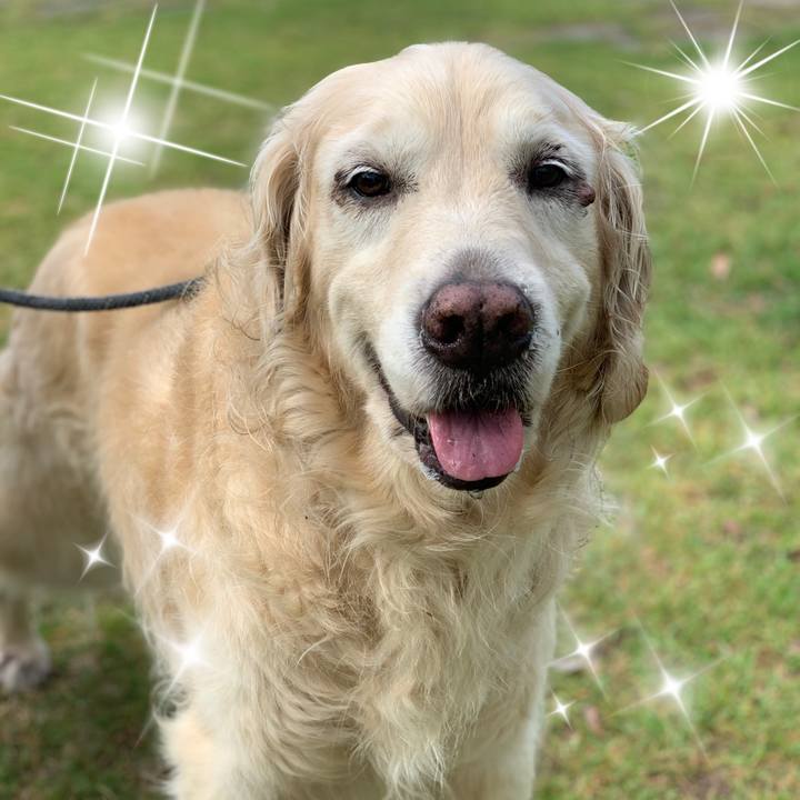 9254495f 2132 4278 8493 331b5b5a35f8 1617740453990