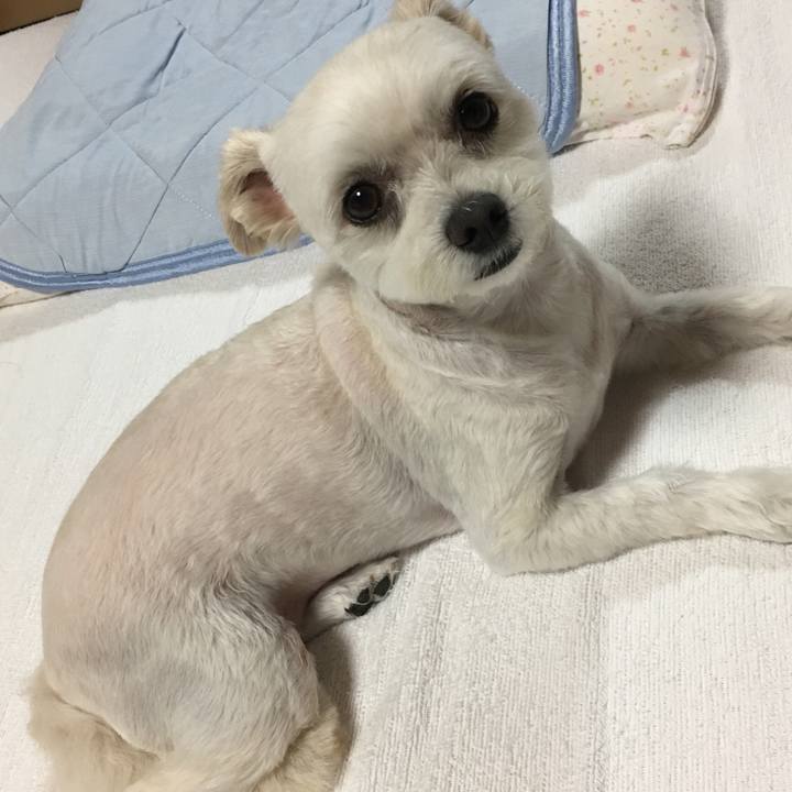 92545c58 5f3d 448e b7f3 196810780d73 1562754773838