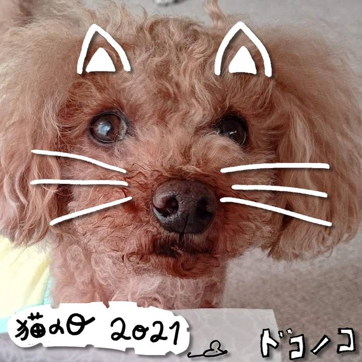 92546f2d bdb6 4cb0 b0f0 3e60d1254d08 1613969413853