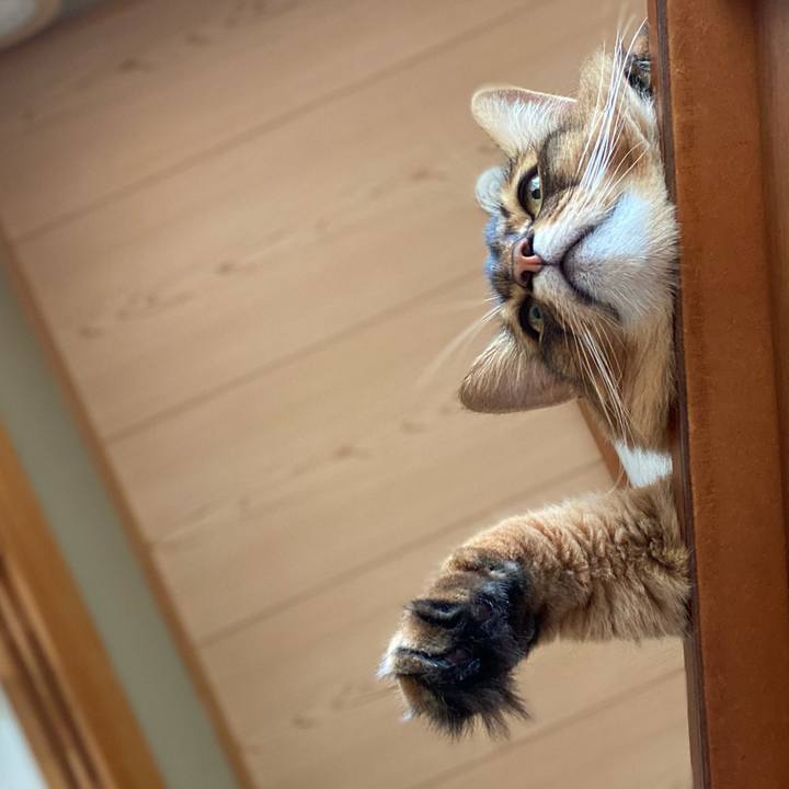 92547d6a 2287 4fce aff2 79fb5356df98 1692746416476