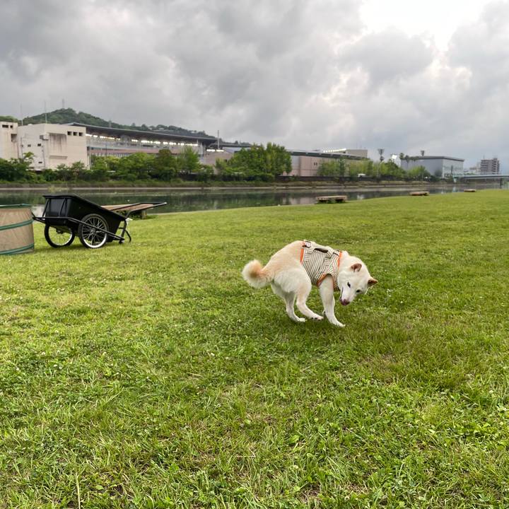 9254d04a ae69 4f48 8db5 4bdfb4253113 1655372056491