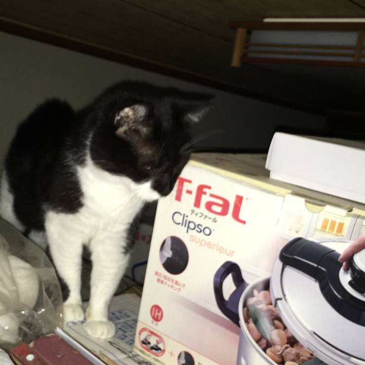 9254efec 0796 4f91 a6f8 58114cdf0652 1592234848130