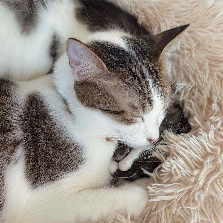 92550717 57e3 4beb 9dd8 663a40e81815 1770621556146