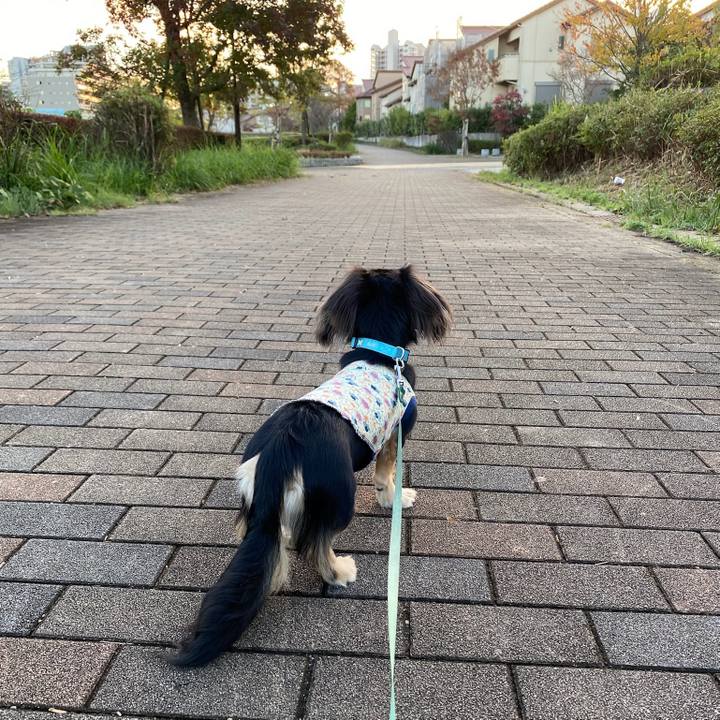 925530e4 5b3d 4429 8445 697ce33528ab 1699429585094