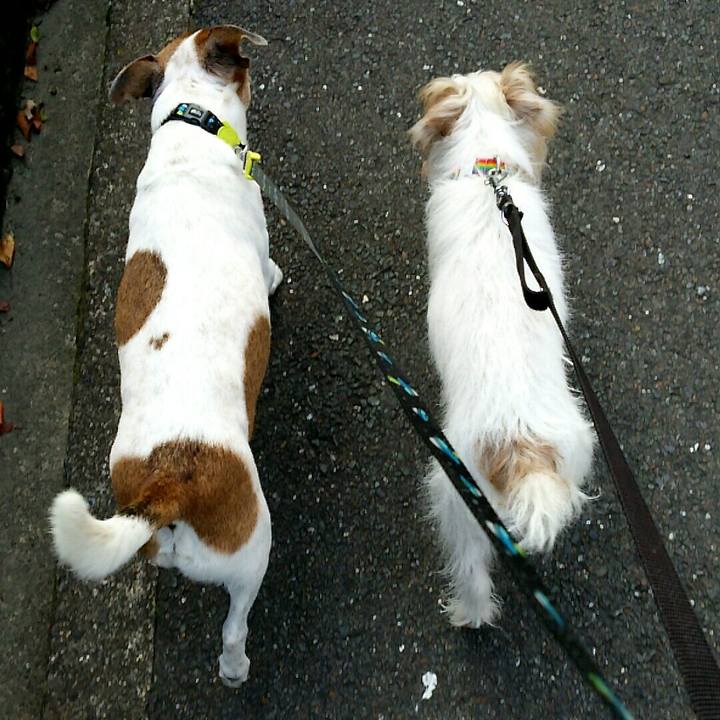 925561b7 11d7 4ef6 ab37 0abd6e454d35 1511611000469