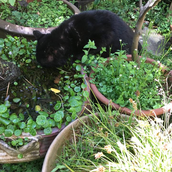 92558870 b435 4085 a8e7 e4153876ff4f 1530182486155