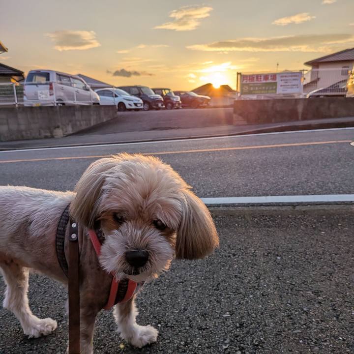 92558ac7 3db6 40f9 92ac 4a2fb96a84b3 1756692138886