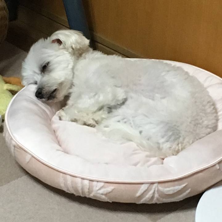 92558c7a ec4b 4987 96b7 b8c853e2efc6 1570359895006