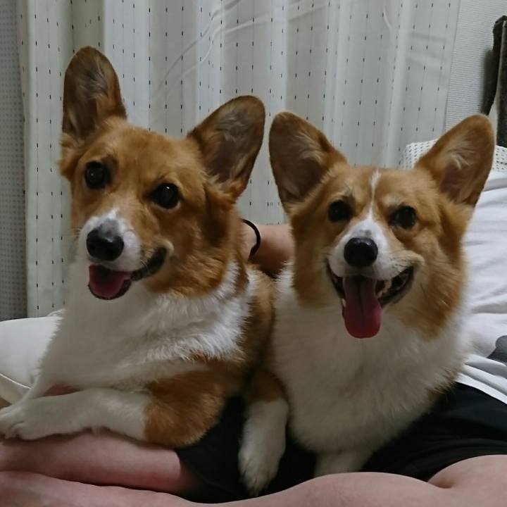 9255a0f0 3d01 4b6d 934b f38b7ba680f0 1536976941263