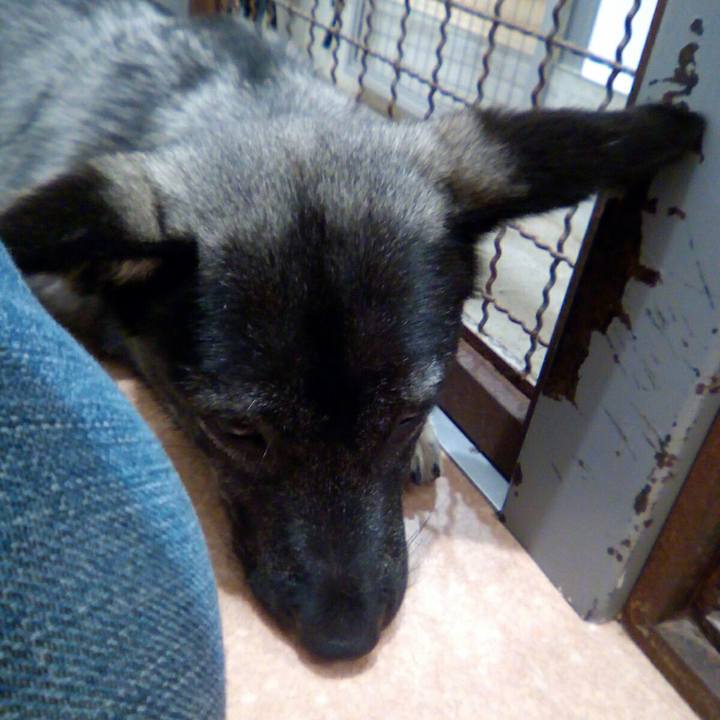 9255de76 3640 456a bb18 e81528ce594e 1525524725557