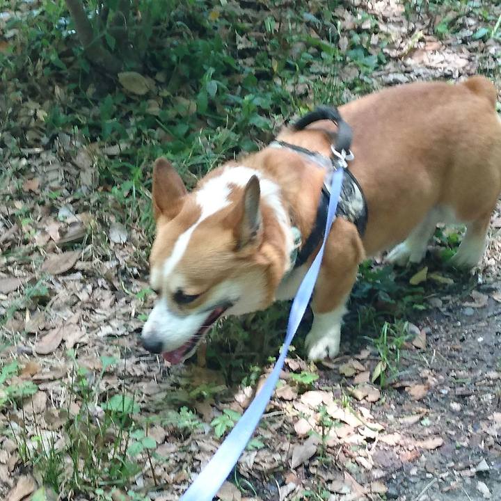 9255f805 355c 43bf 993e a74bf2657474 1654578561910