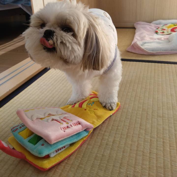 925607c0 c98b 4e81 ad92 516f49d29ea7 1703400739459