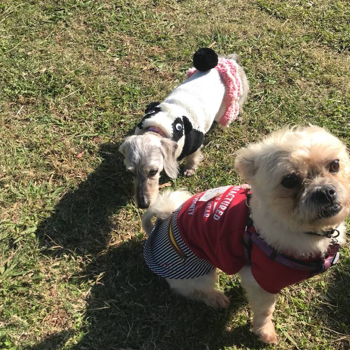 9256174d e6a9 4714 a52a fb75db653cd5 1509701572647