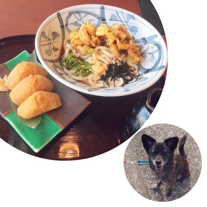 9256244d 8766 46c8 93d0 e858a6c6332f 1560206714376