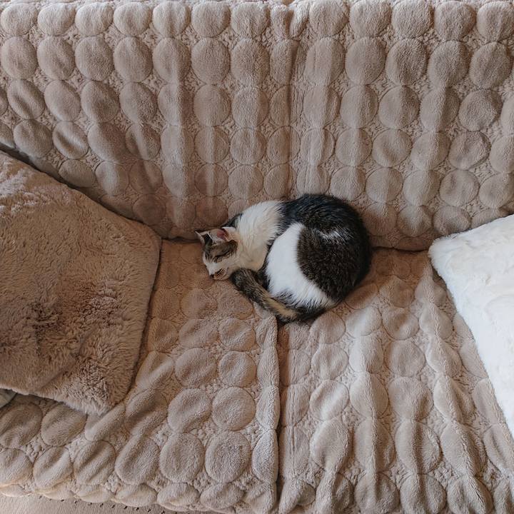 92563216 5318 4ca5 815d 47e12c4d7b8c 1645868598400