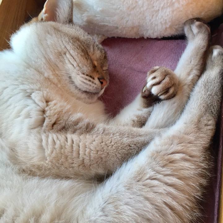 925647ac 7a82 45ae b8e8 02fbbf592253 1560672584544