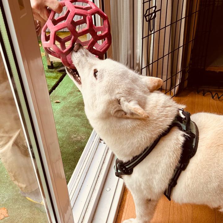 92566820 5028 46e8 aef4 e340e45655b3 1698876643066