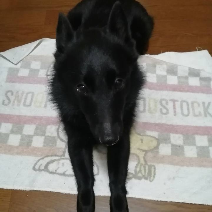 92567f45 c1d3 42bc 9c95 935b8ac1820e 1624138415261