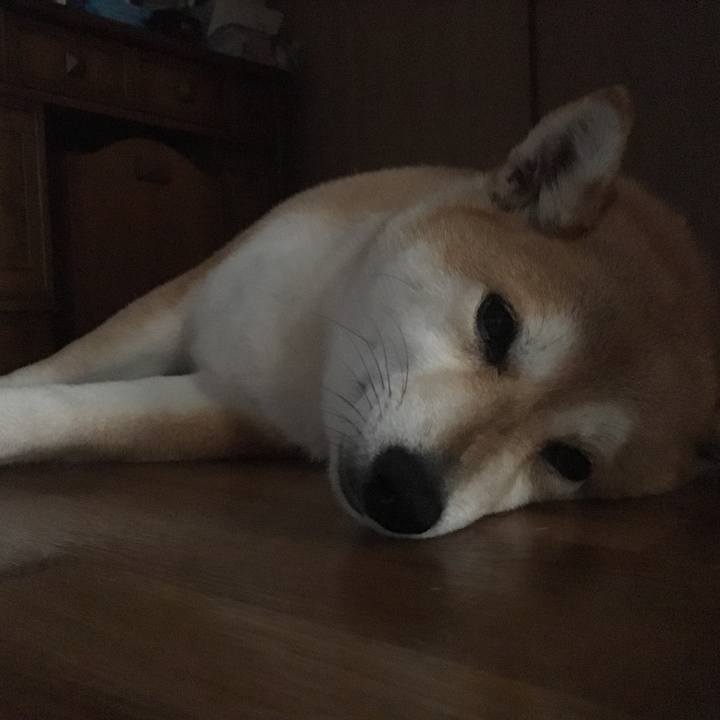 9256a9c2 0e9d 4b02 8779 3807fde00e81 1565341177933