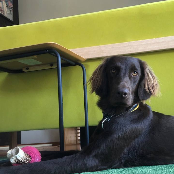 9256cd58 d005 478b 874a 5c1fa4b05e7c 1586921121514