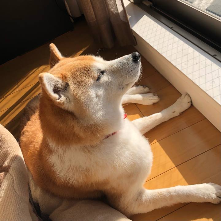 9256ded9 b371 4a17 b0a9 e26fcae1f9e6 1645855888321